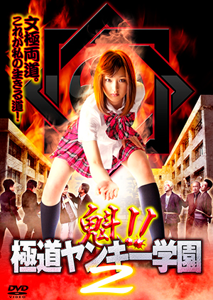 魁!!極道ヤンキー学園 2
